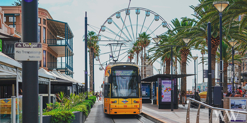 Trams are one of the many forms of public transport in Adelaide.